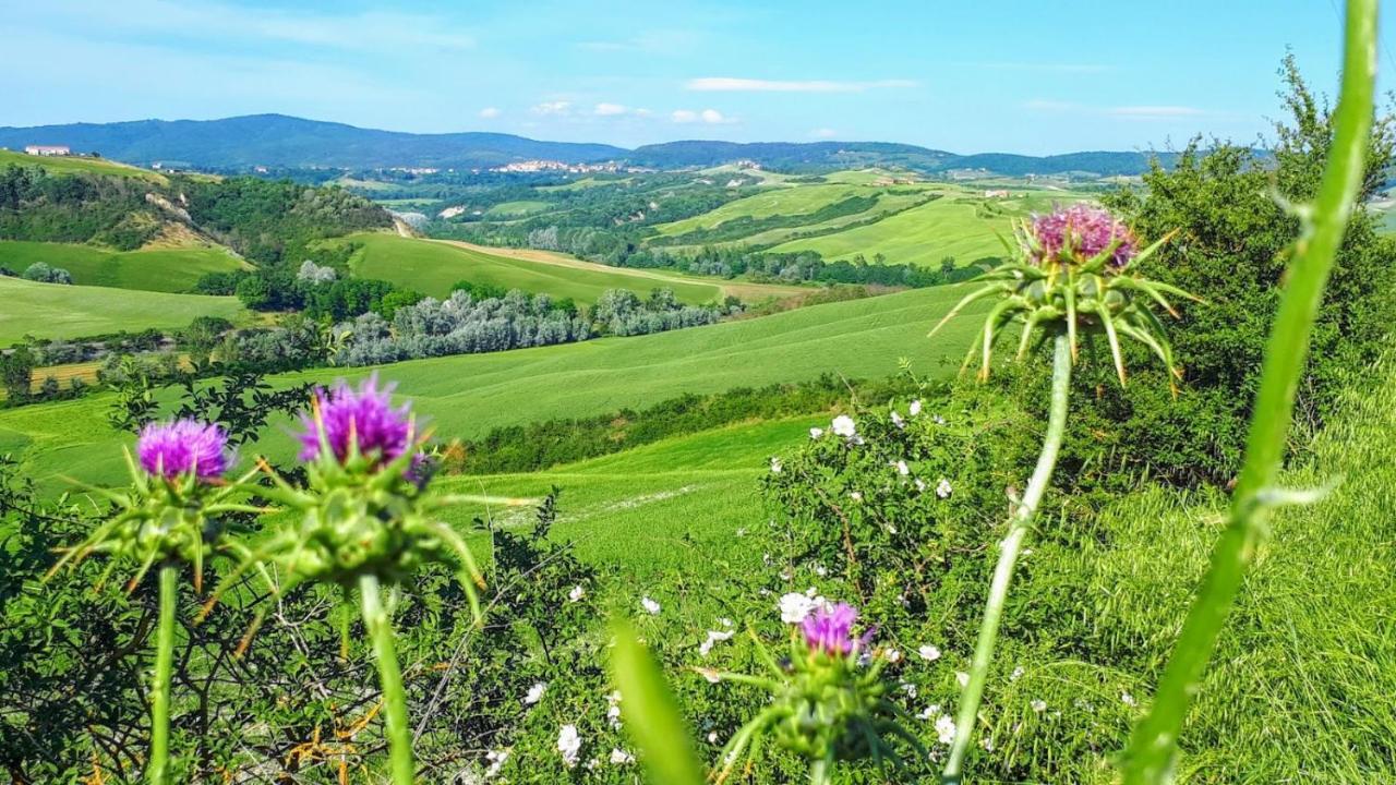 Casa Soleluna B&B Cortona Exteriör bild
